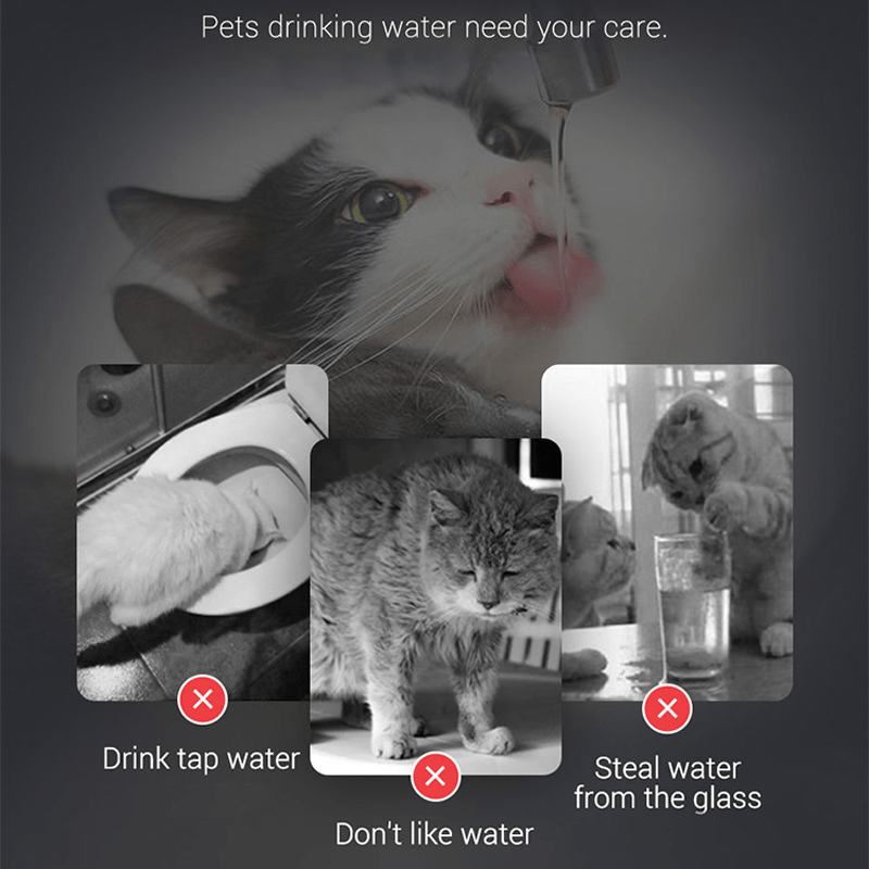 Fuente de Agua para Mascotas SUPRAKAT™: ¡Hidratación Saludable y Felíz!
