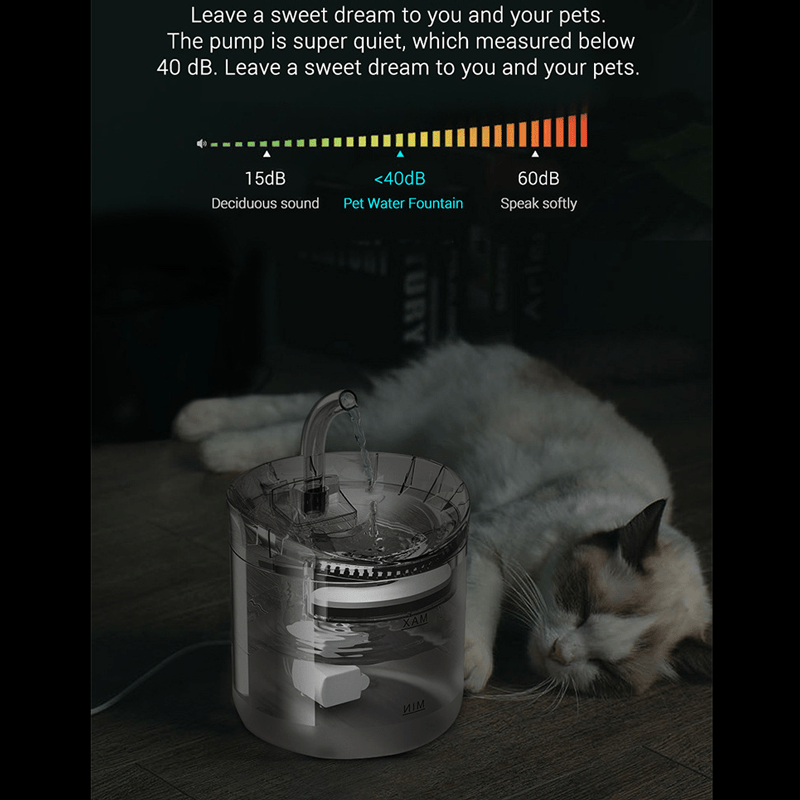 Hidratación Esencial para tu Felino