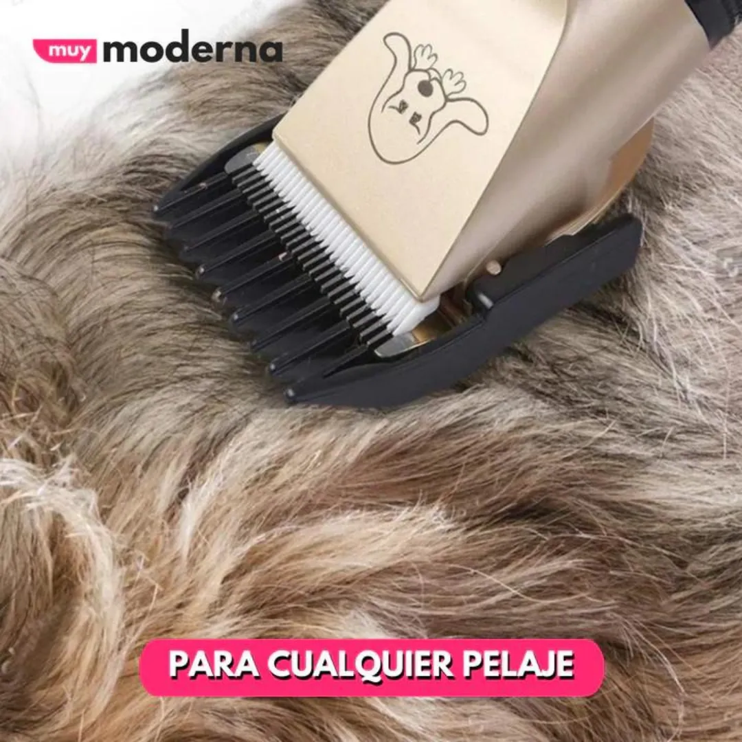 Máquina de Peluquería Canina: ¡El Kit Perfecto para tu Mascota! - Maquina De Peluquería Canina Kit Mascota