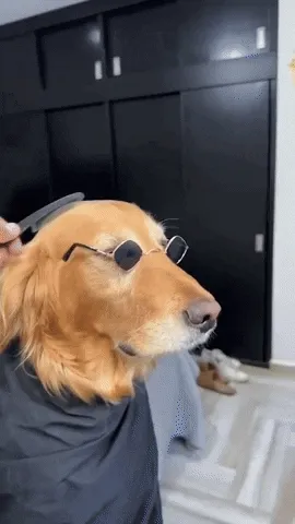 Dile Adiós al Estrés de la Peluquería