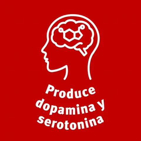 Beneficios de Dxeuss