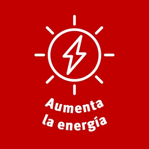 Ingredientes Naturales para un Bienestar Óptimo