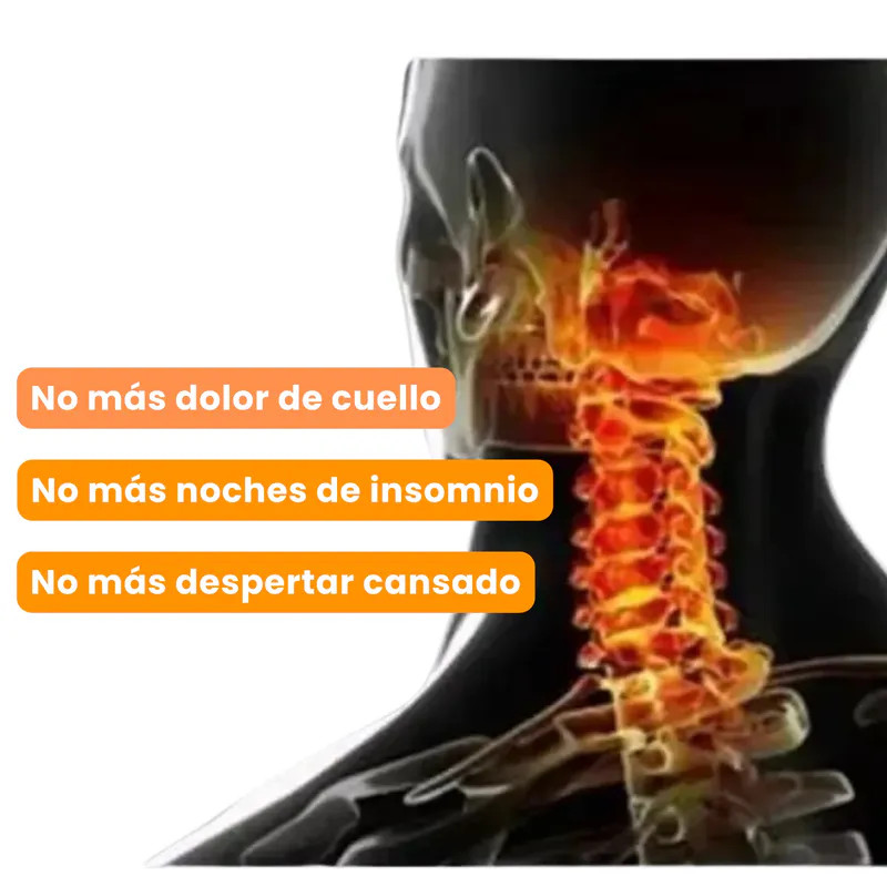 Diseño Ergonómico para un Descanso Inigualable