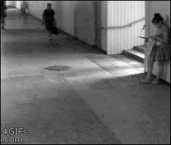 Seguridad que te Acompaña