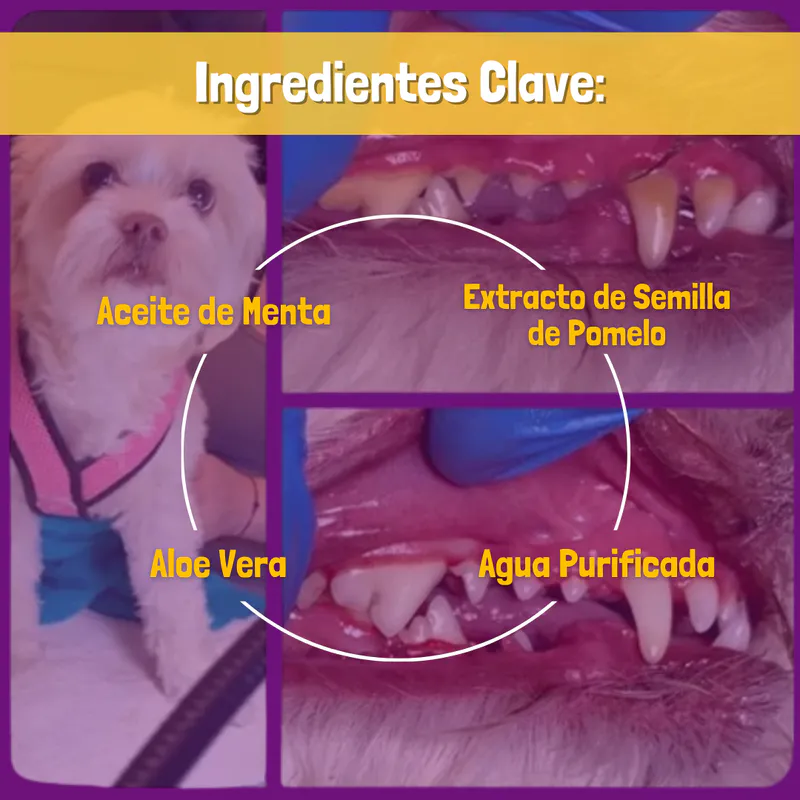 Beneficios de PetClean™