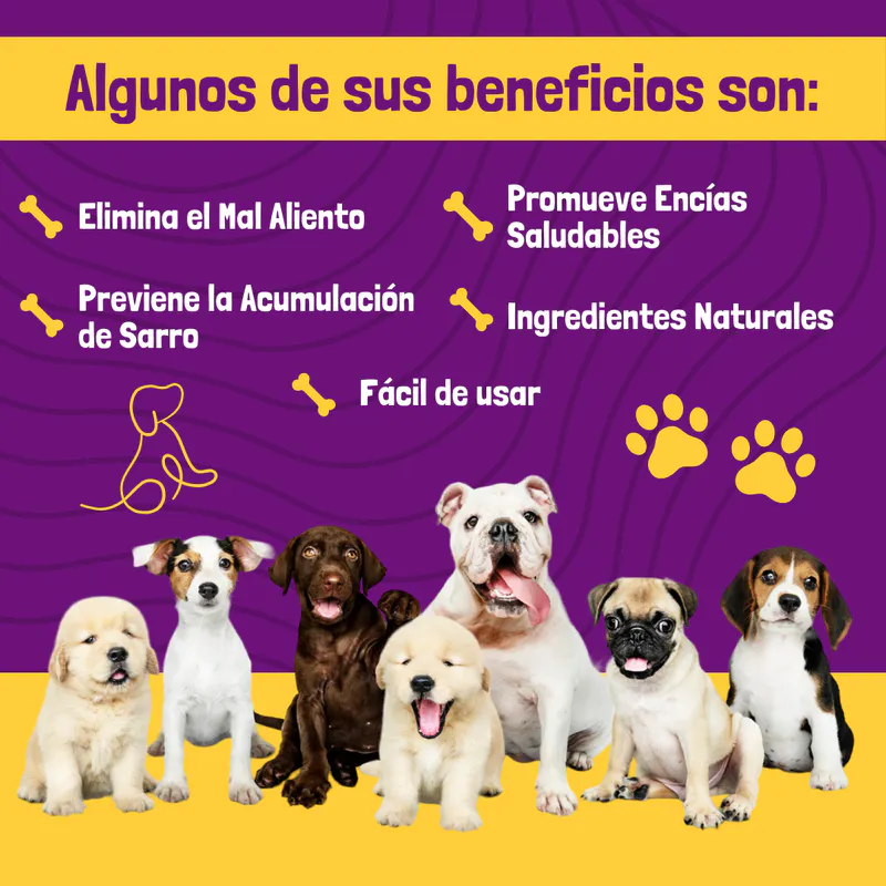 Fácil de Usar