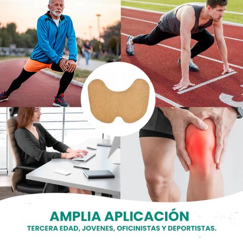 Recuperación Total de la Movilidad