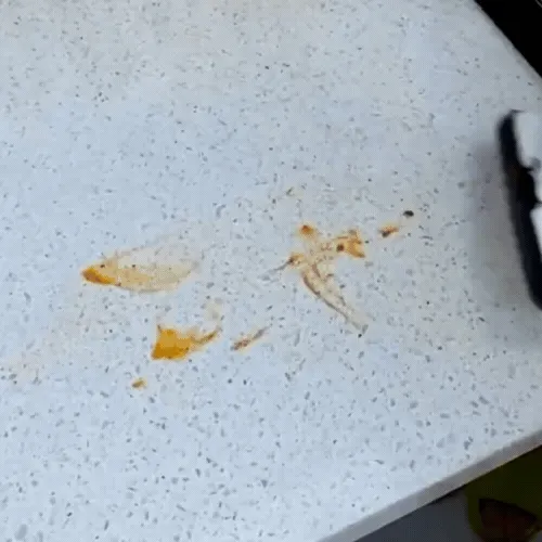 Dile Adiós a la Limpieza Tradicional